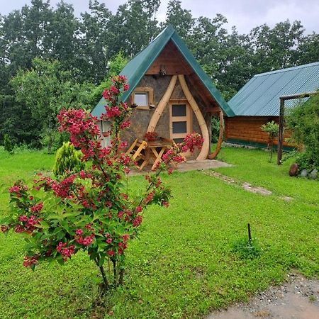 Gazela Bungalov 1 모이코바츠 외부 사진