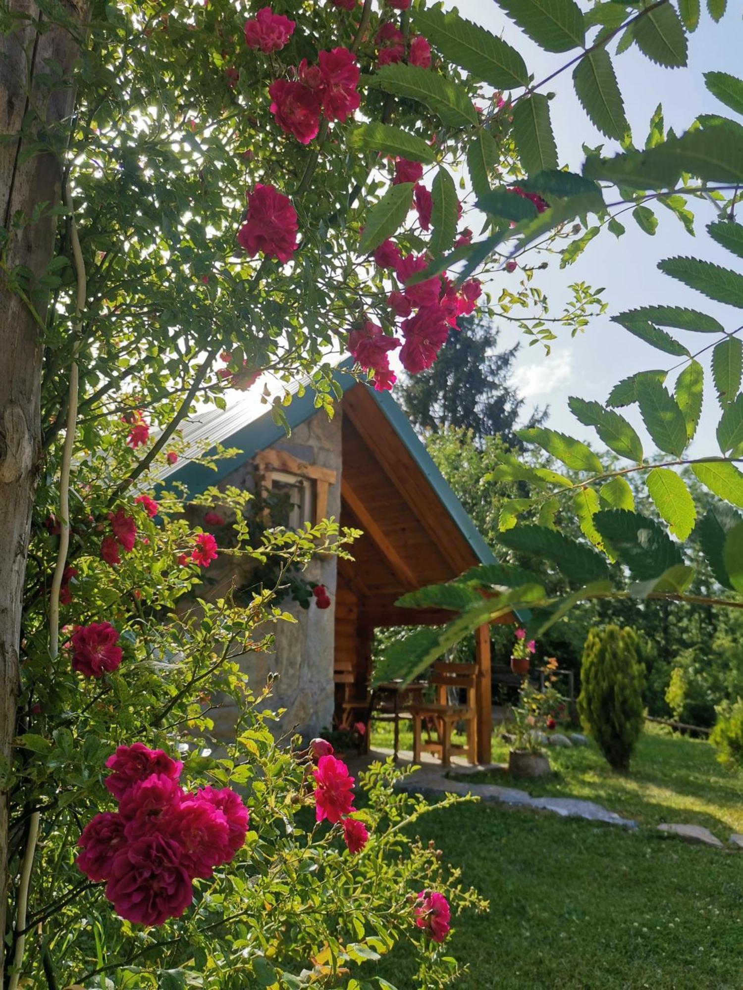 Gazela Bungalov 1 모이코바츠 외부 사진